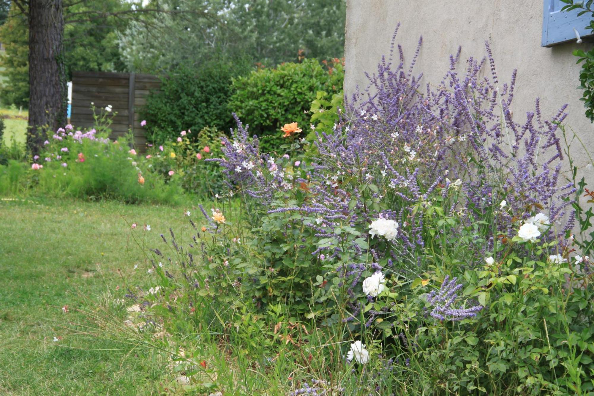 Le Mas Des Pins Mane  Exterior photo