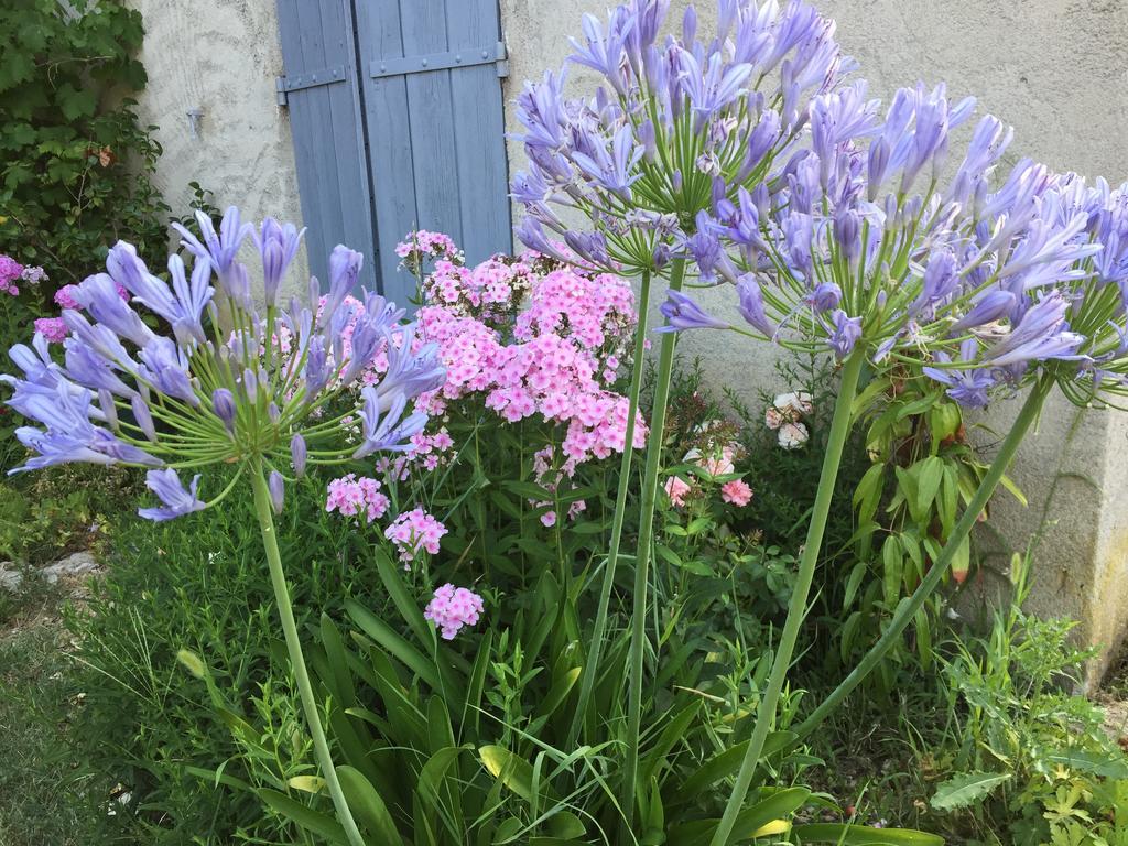 Le Mas Des Pins Mane  Exterior photo